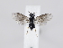  ( - ZMUO.038967)  @11 [ ] by-nc (2022) Marko Mutanen University of Oulu