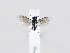  ( - ZMUO.038969)  @11 [ ] by-nc (2022) Marko Mutanen University of Oulu