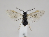  ( - ZMUO.044621.1)  @11 [ ] by-nc (2022) Marko Mutanen University of Oulu