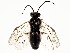  ( - ZMUO.058377)  @14 [ ] by-nc (2022) Marko Mutanen University of Oulu