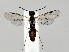  ( - ZMUO.058464)  @11 [ ] by-nc (2022) Marko Mutanen University of Oulu