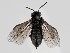  ( - ZMUO.058507)  @11 [ ] by-nc (2022) Marko Mutanen University of Oulu