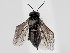  ( - ZMUO.058508)  @11 [ ] by-nc (2022) Marko Mutanen University of Oulu