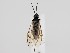  ( - ZMUO.058836)  @11 [ ] by-nc (2022) Marko Mutanen University of Oulu