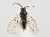  ( - ZMUO.059354)  @11 [ ] by-nc (2022) Marko Mutanen University of Oulu