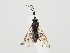 ( - ZMUO.059355)  @11 [ ] by-nc (2022) Marko Mutanen University of Oulu