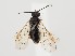  ( - ZMUO.059381)  @11 [ ] by-nc (2022) Marko Mutanen University of Oulu