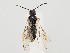  ( - ZMUO.059435)  @11 [ ] by-nc (2022) Marko Mutanen University of Oulu