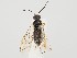  ( - ZMUO.059445)  @11 [ ] by-nc (2022) Marko Mutanen University of Oulu