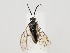  ( - ZMUO.059460)  @11 [ ] by-nc (2022) Marko Mutanen University of Oulu