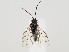  ( - ZMUO.059461)  @11 [ ] by-nc (2022) Marko Mutanen University of Oulu