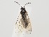  ( - ZMUO.059517)  @11 [ ] by-nc (2022) Marko Mutanen University of Oulu