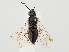  ( - ZMUO.059534)  @11 [ ] by-nc (2022) Marko Mutanen University of Oulu