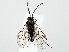  ( - ZMUO.060015)  @11 [ ] by-nc (2022) Marko Mutanen University of Oulu