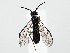  ( - ZMUO.061586)  @13 [ ] by-nc (2022) Marko Mutanen University of Oulu