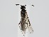  ( - ZMUO.061644)  @13 [ ] by-nc (2022) Marko Mutanen University of Oulu