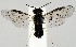  ( - ZMUO.061894)  @11 [ ] by-nc (2022) Marko Mutanen University of Oulu