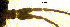  ( - EVI-000077)  @11 [ ] CreativeCommons - Attribution Share-Alike (2025) Esko Viitanen University of Oulu