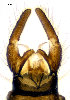  ( - EVI-000086)  @11 [ ] CreativeCommons - Attribution Non-Commercial Share-Alike (2025) Esko Viitanen University of Oulu