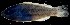  ( - FJMI3652)  @12 [ ] Unspecified (default): All Rights Reserved  Jose Angel Cohuo Unspecified