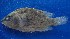  ( - FJMI3695)  @13 [ ] Unspecified (default): All Rights Reserved  Jose Angel Cohuo Unspecified
