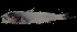  ( - FJMI3744)  @13 [ ] Unspecified (default): All Rights Reserved  Jose Angel Cohuo Unspecified