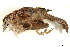  ( - BIOUG49276-B12)  @11 [ ] CreativeCommons - Attribution (2019) CBG Photography Group Centre for Biodiversity Genomics