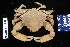  ( - 106422-1329)  @11 [ ] Unspecified (default): All Rights Reserved  Unspecified Fish and Wildlife Research Institute