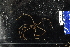  ( - 124023-1092)  @11 [ ] Unspecified (default): All Rights Reserved (2020) Paul Larson Fish and Wildlife Research Institute