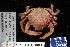  ( - 136283-1323)  @11 [ ] Unspecified (default): All Rights Reserved  Unspecified Fish and Wildlife Research Institute