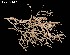  ( - 138290-1302)  @11 [ ] Unspecified (default): All Rights Reserved  Unspecified Fish and Wildlife Research Institute