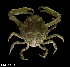  ( - 140416-1177)  @11 [ ] CCbyNC (2022) Fish and Wildlife Research Institute Fish and Wildlife Research Institute