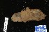  ( - 143553-1304)  @11 [ ] Unspecified (default): All Rights Reserved  Unspecified Fish and Wildlife Research Institute
