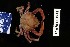  ( - 151069-1319)  @11 [ ] Unspecified (default): All Rights Reserved  Unspecified Fish and Wildlife Research Institute