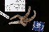  ( - 151199-1257)  @11 [ ] Unspecified (default): All Rights Reserved  Unspecified Fish and Wildlife Research Institute