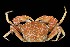  ( - 154613-1226)  @11 [ ] Unspecified (default): All Rights Reserved  Unspecified Fish and Wildlife Research Institute