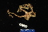  ( - 138292-354)  @11 [ ] by-nc-sa (2020) Paul Larson Fish and Wildlife Research Institute