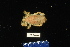  ( - 137983-364)  @11 [ ] by-nc-sa (2020) Paul Larson Fish and Wildlife Research Institute