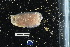  ( - FWRI_I_00443)  @11 [ ] CreativeCommons - Attribution Non-Commercial Share-Alike (2018) Unspecified Fish and Wildlife Research Institute