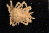 ( - FWRI_I_00188)  @11 [ ] CreativeCommons - Attribution Non-Commercial Share-Alike (2018) Unspecified Fish and Wildlife Research Institute
