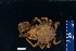  ( - FWRI_I_00258)  @11 [ ] CreativeCommons - Attribution Non-Commercial Share-Alike (2018) Unspecified Fish and Wildlife Research Institute