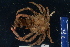  ( - FWRI_I_00261)  @11 [ ] CreativeCommons - Attribution Non-Commercial Share-Alike (2018) Unspecified Fish and Wildlife Research Institute