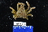  ( - FWRI_I_00204)  @11 [ ] CreativeCommons - Attribution Non-Commercial Share-Alike (2018) Unspecified Fish and Wildlife Research Institute