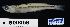  ( - FWRI 03572)  @11 [ ] CreativeCommons - Attribution Non-Commercial Share-Alike (2017) Unspecified Fish and Wildlife Research Institute