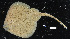  ( - FWRI 03758)  @11 [ ] CreativeCommons - Attribution Non-Commercial Share-Alike (2017) Unspecified Fish and Wildlife Research Institute