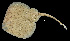  ( - FWRI 03758)  @11 [ ] CreativeCommons - Attribution Non-Commercial Share-Alike (2017) Unspecified Fish and Wildlife Research Institute