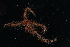  ( - SMPA 79)  @11 [ ] CreativeCommons - Attribution Non-Commercial Share-Alike (2018) Unspecified Fish and Wildlife Research Institute