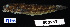  ( - FWRI 01995)  @11 [ ] CreativeCommons - Attribution Non-Commercial Share-Alike (2017) Unspecified Fish and Wildlife Research Institute