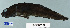  ( - FWRI 02458)  @11 [ ] CreativeCommons - Attribution Non-Commercial Share-Alike (2017) Unspecified Fish and Wildlife Research Institute