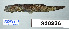 ( - FWRI 02337)  @11 [ ] CreativeCommons - Attribution Non-Commercial Share-Alike (2017) Unspecified Fish and Wildlife Research Institute